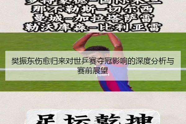 樊振东伤愈归来对世乒赛夺冠影响的深度分析与赛前展望