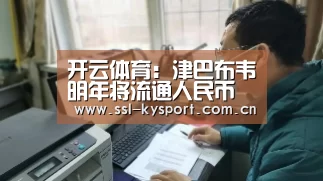 开云体育:津巴布韦明年将流通人民币 总统称这是全新机遇(图3) 开云